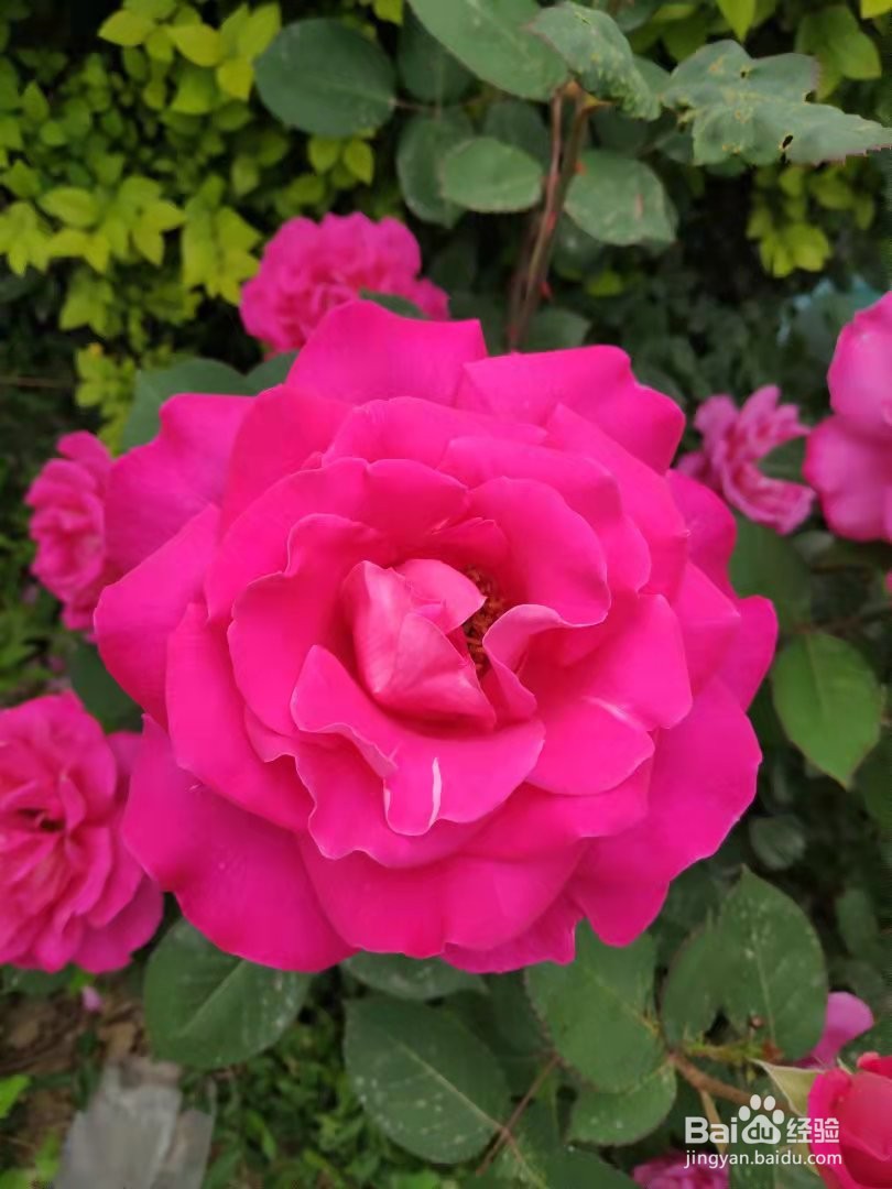 如何获得女生的好感