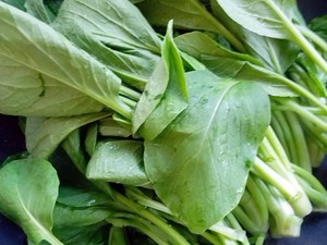 炝炒油菜苗的做法