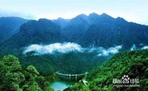 散文标题的作用