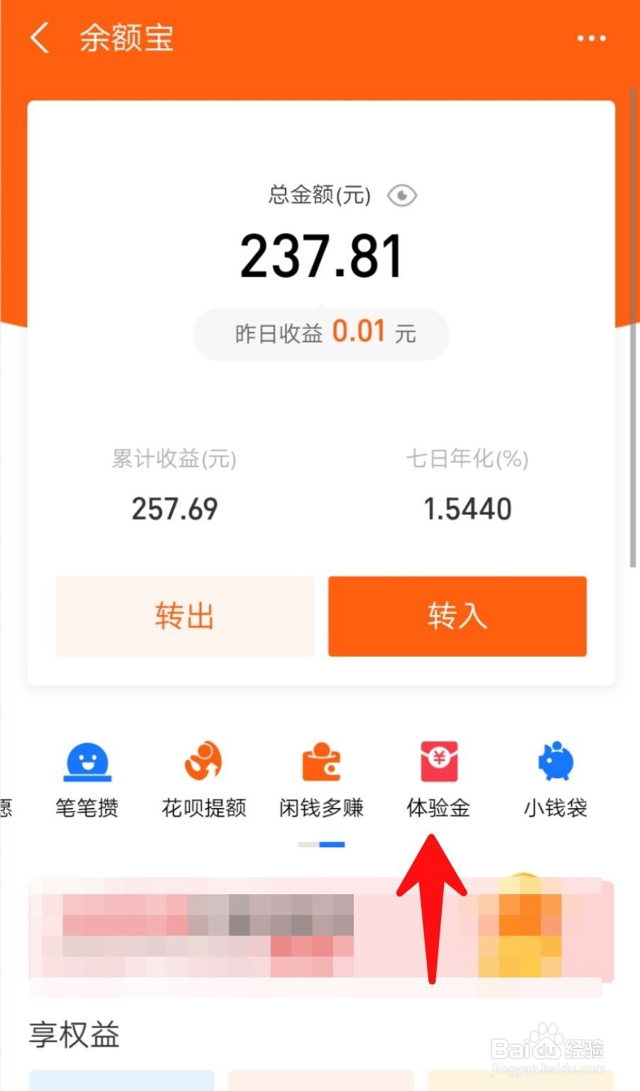 如何查看支付宝我的体验金