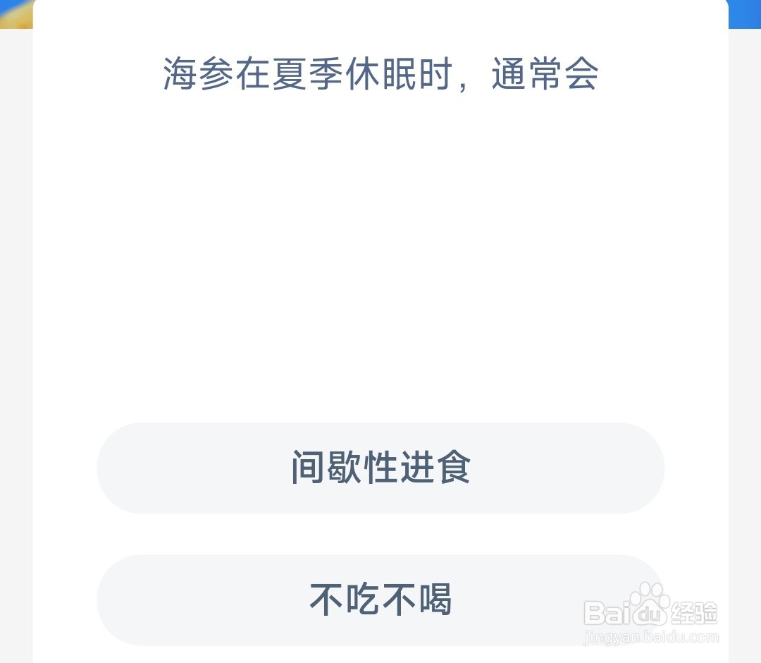 神奇海洋海参在夏季休眠时通常会