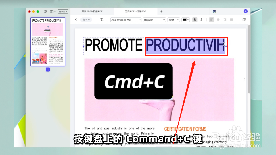 如何在Mac上复制和粘贴PDF中的内容？