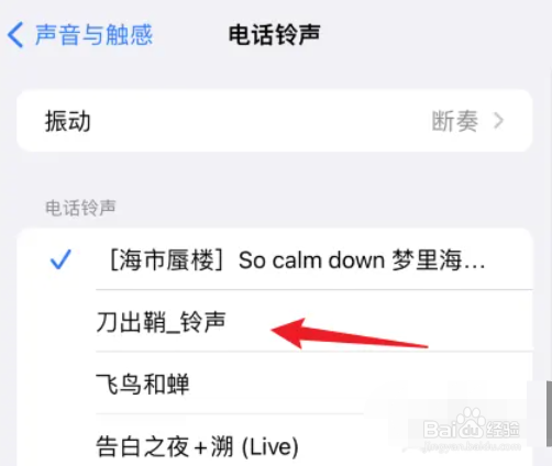 苹果手机的电话铃声在哪可以切换