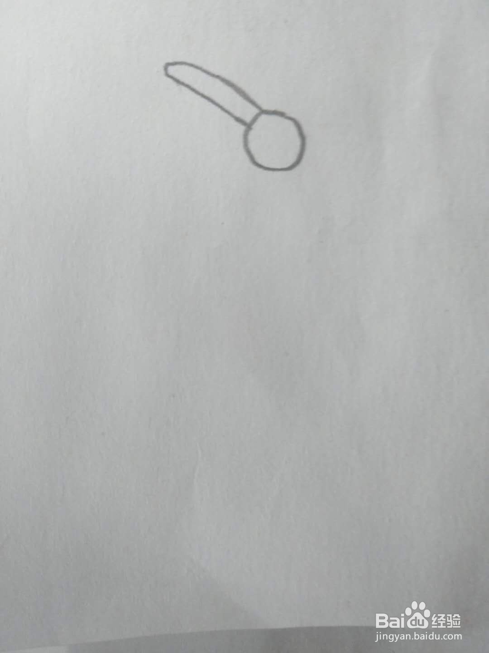 教你画儿童简笔画山楂