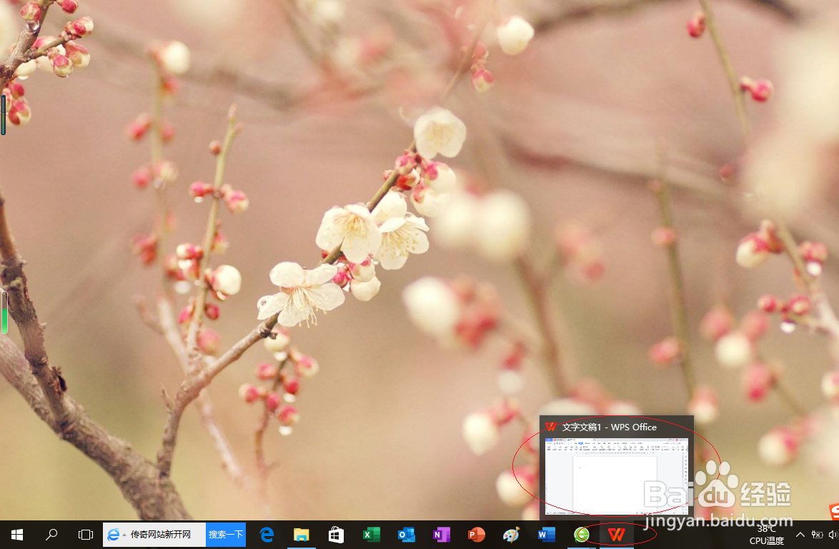 WPS文字处理 2022如何自定义修订选项