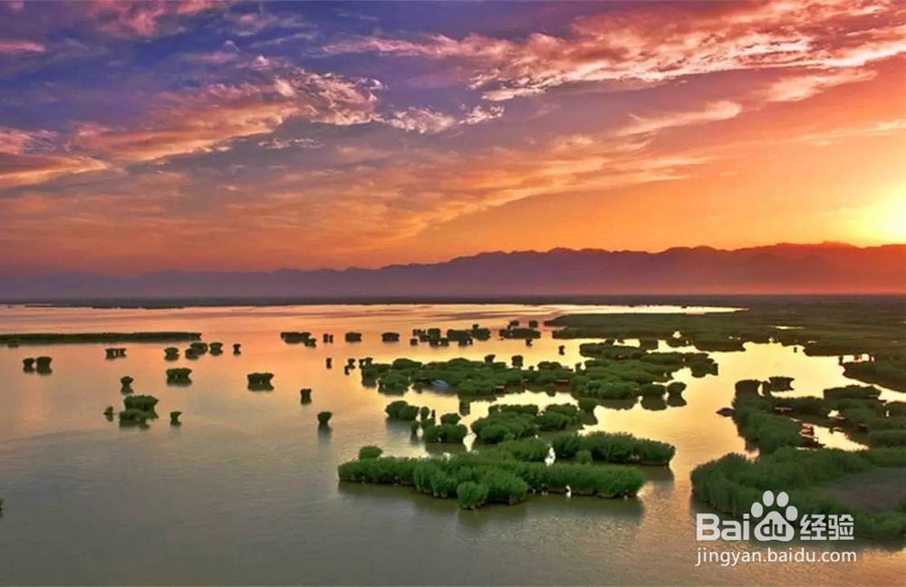 宁夏沙湖旅游景区怎么游玩？