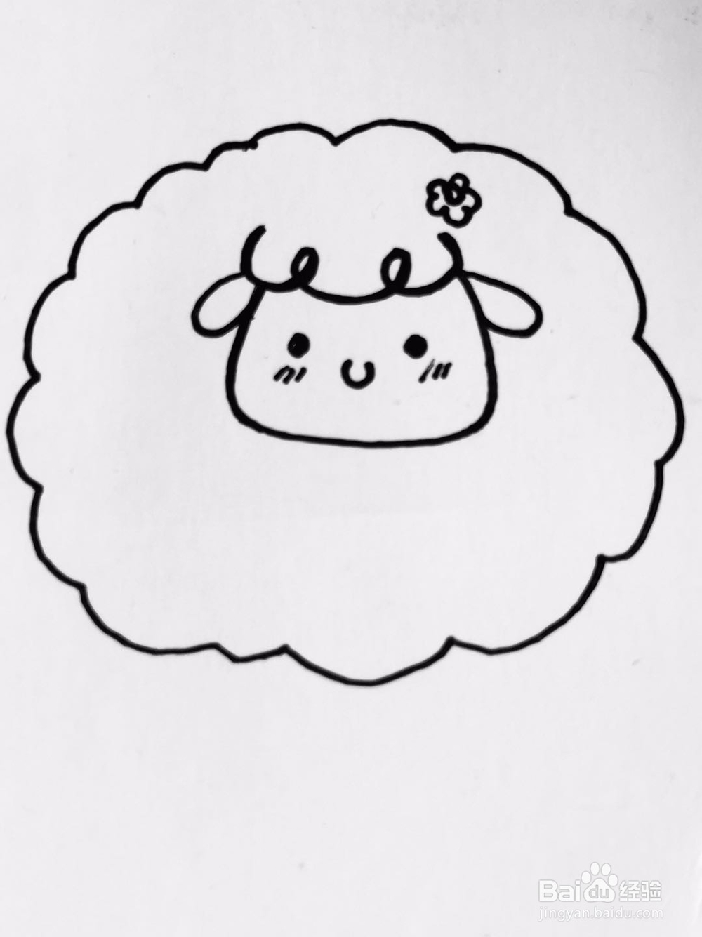 茉莉手绘之萌系绵羊