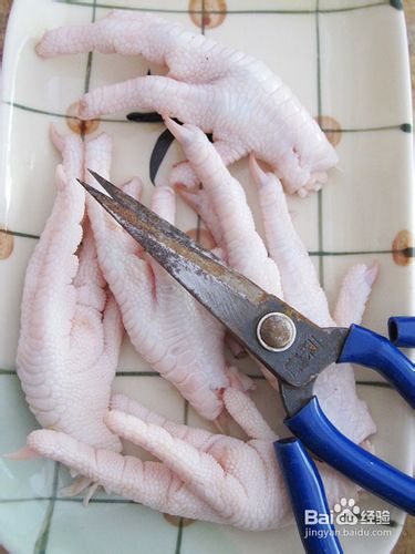 【飞禽走兽】虎皮凤爪