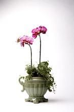 经期洗澡不当可导致内分泌失调