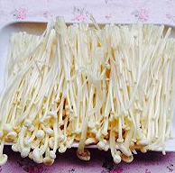 吃过就会爱上--番茄烩金针菇