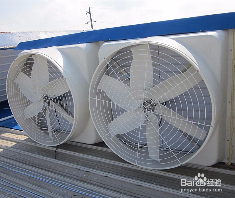 车间排蒸汽什么方法好?