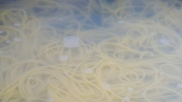 如何制作黑椒肉丝意面