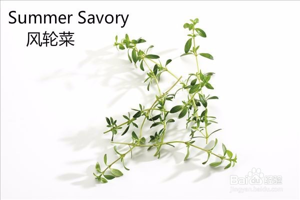 做面包、蛋糕、饼干需要什么食材呢?