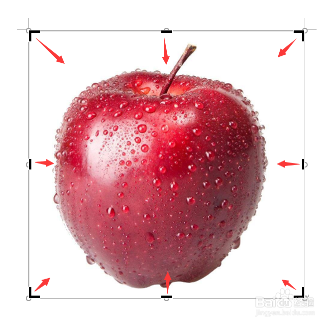 word怎么裁剪图片？