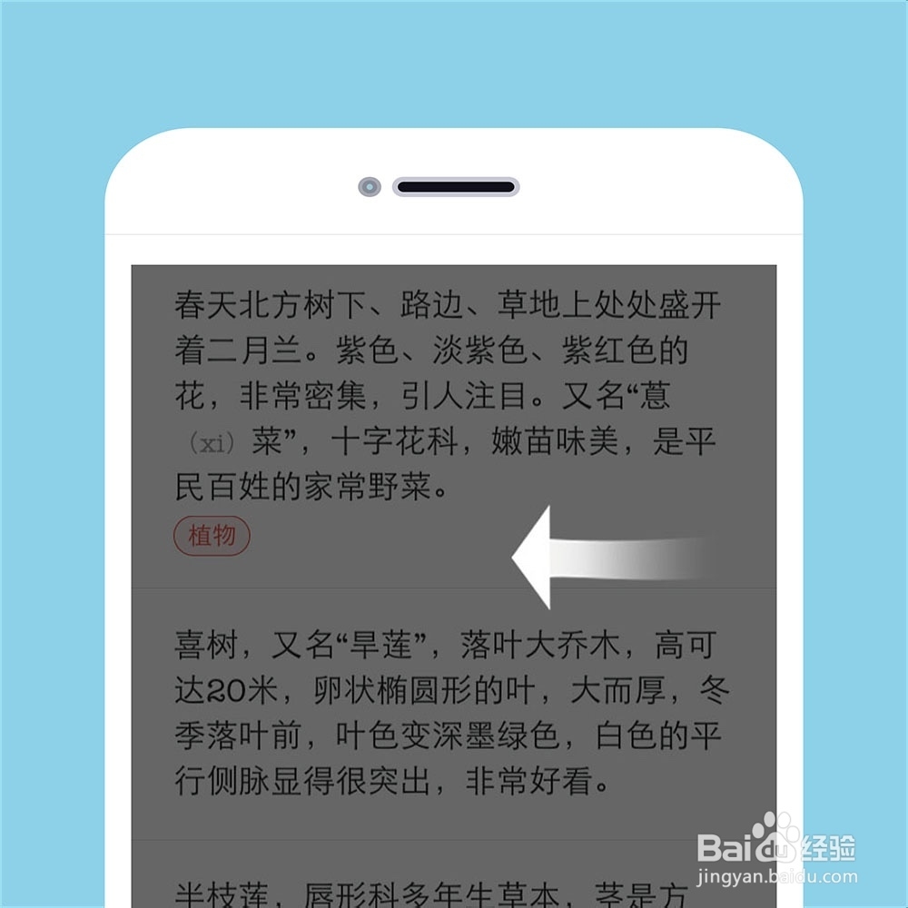 在蜂蜜里，怎样给段落添加标签