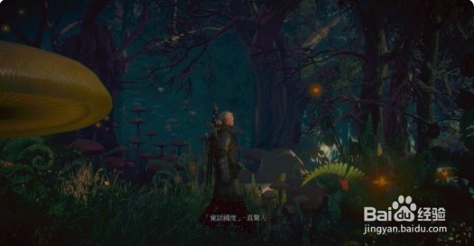 《巫师3:狂猎》【长牙之夜:寻找欧莉安娜】