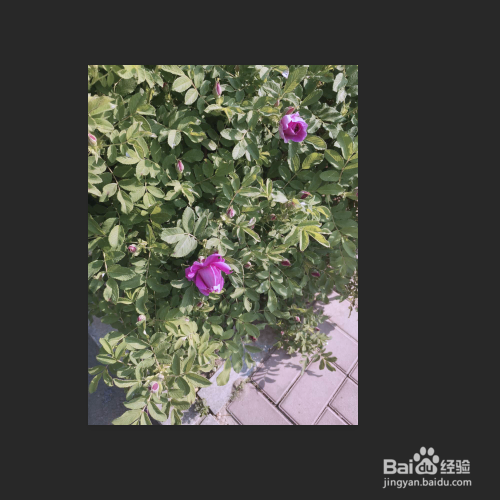 通过照片滤镜图层给图片增加冷色调