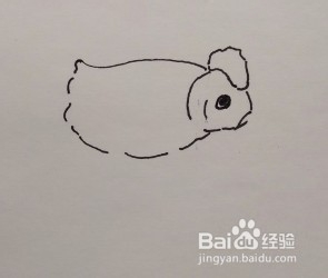 线描画:金鱼怎么画,如何画金鱼
