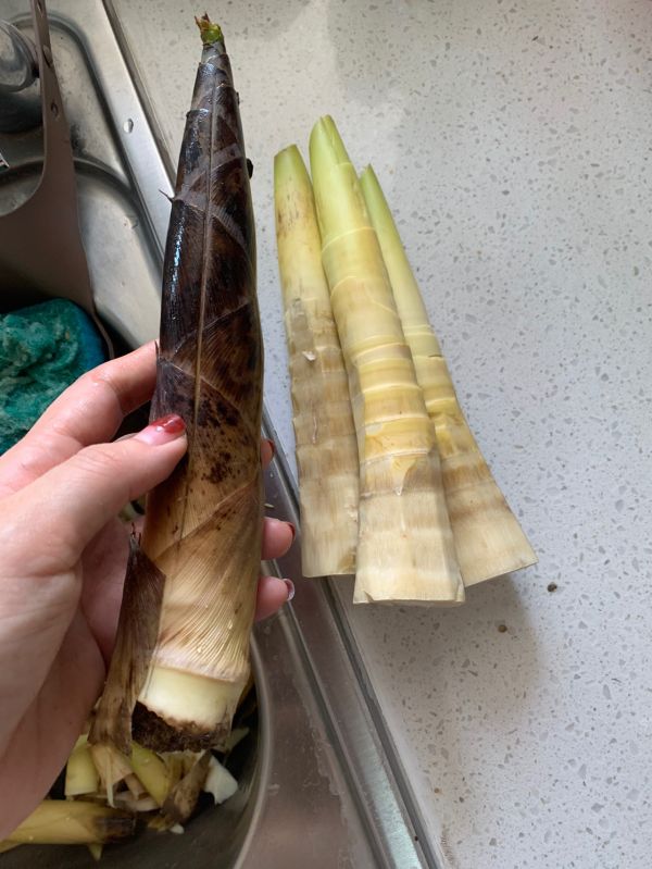 松茸竹笋土鸡汤