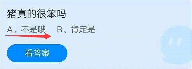 蚂蚁庄园猪真的很笨吗