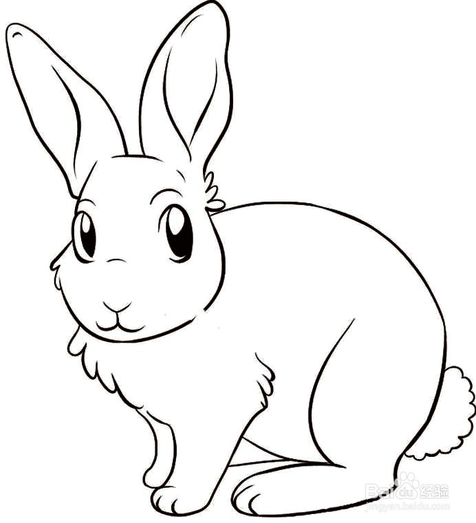 可爱小白兔的简笔画画法技巧