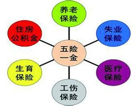 社保怎么办理缴费申报