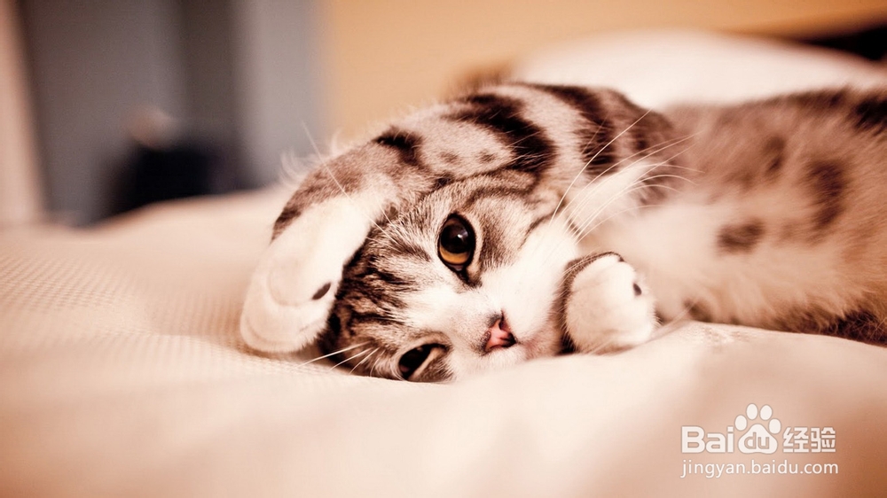 失恋之晴空万里：[2]失恋后的世界是什么样的