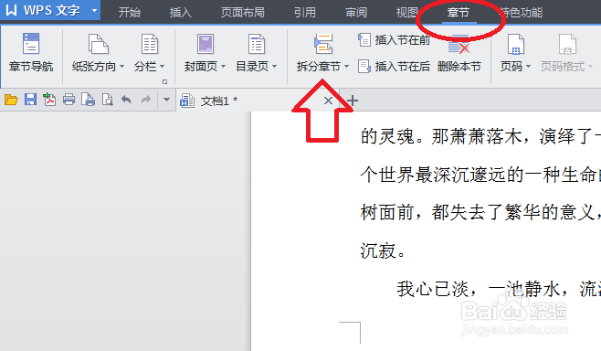 怎样在Word文档中第一页/部分不加页码