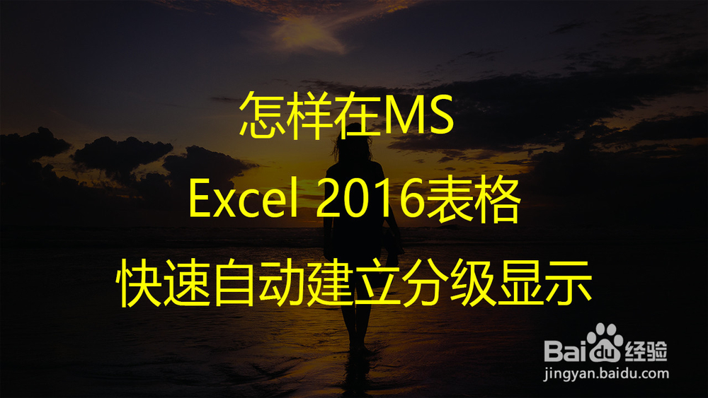 <b>怎样在MS Excel 2016表格快速自动建立分级显示</b>