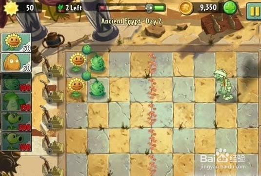 植物大战僵尸2游戏中间的一排花是什么