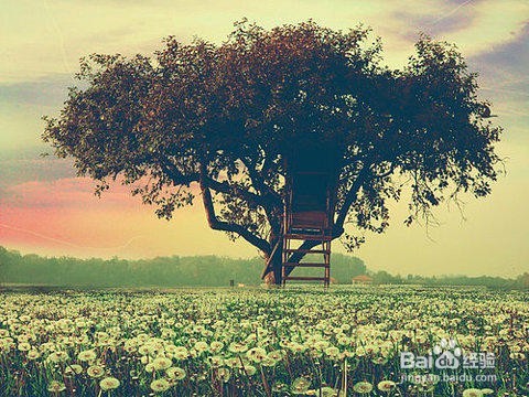 女孩子都喜欢那些表白方式？