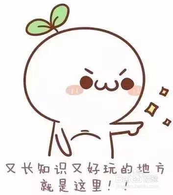 有什么方法可以将pdf转换成excel格式