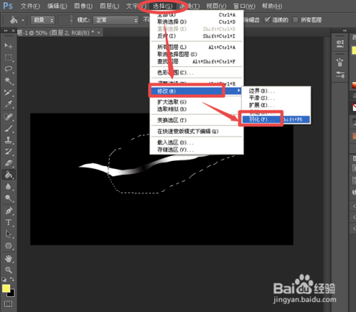 PS图像处理小技法之羽毛效果