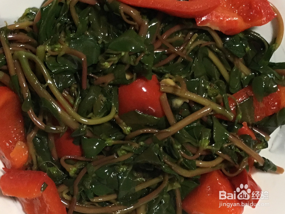 马苋菜怎样煮才好吃?