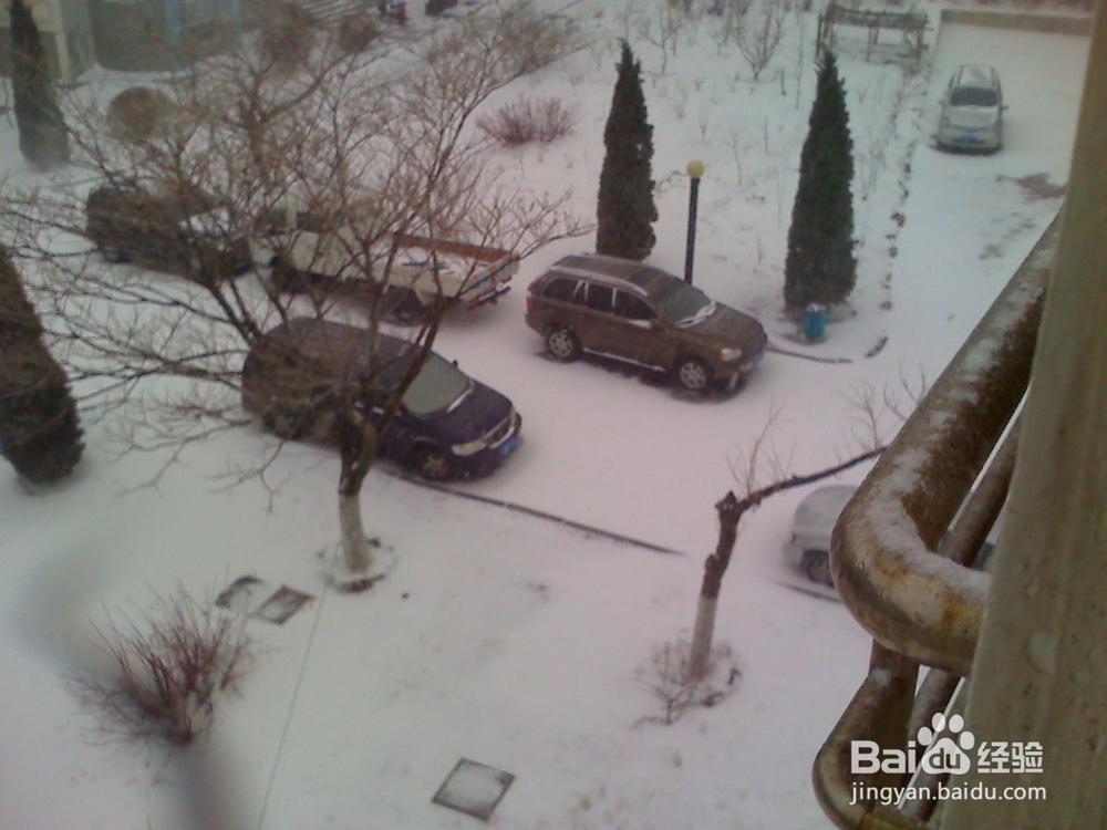 怎样告诉孩子安全出行---43