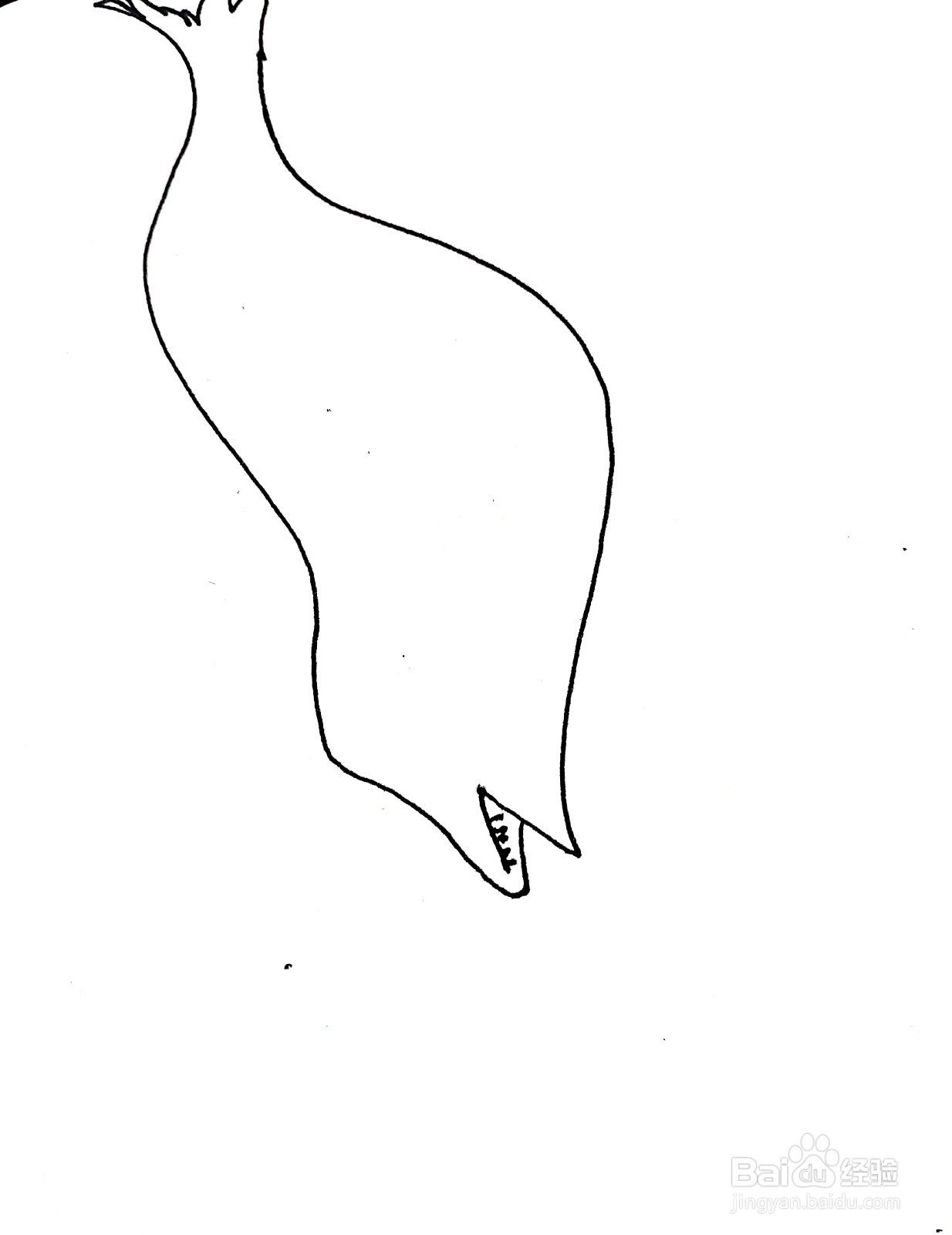 鲢鱼线描画怎么画