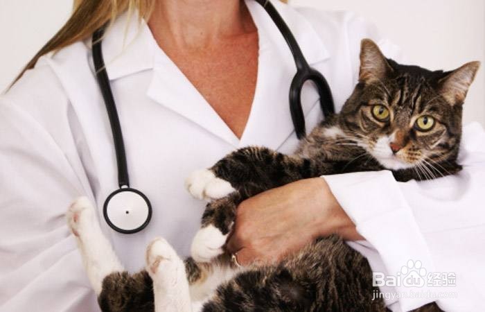 春季日常生活小贴士