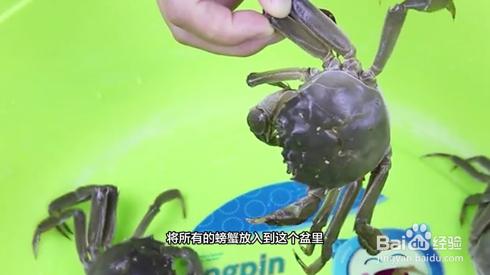 大闸蟹活的如何保存
