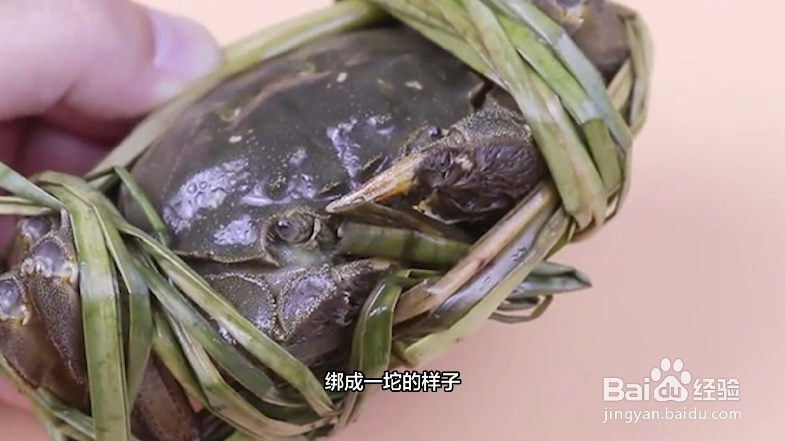 活的大闸蟹怎么保存