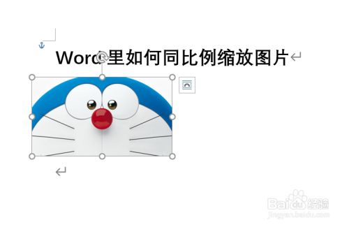 word里如何同比例缩放图片