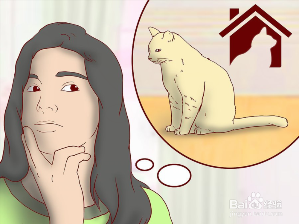 教你如何一只小猫开始养和注意事项有哪些?