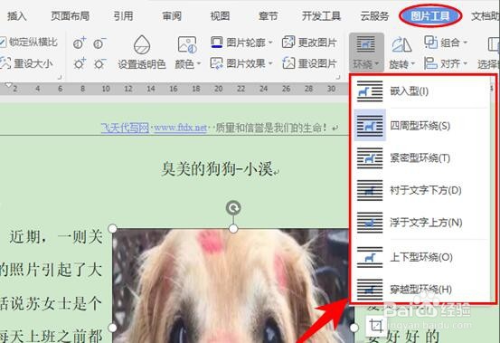 WPS文字技巧—如何快速实现图文混排