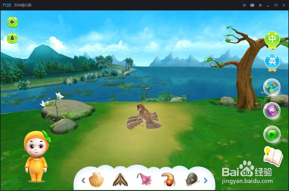 学习鸟类知识的3d软件推荐