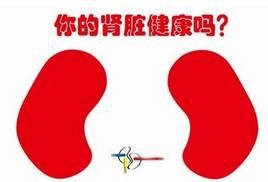 体检指标的相应说明