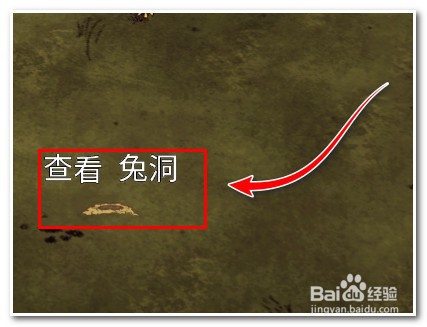 饥荒怎么抓兔子 饥荒如何抓活兔子