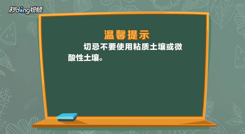 小木槿怎么养殖