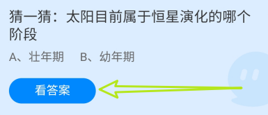 蚂蚁庄园2024.12.30太阳目前属恒星演化哪个阶段