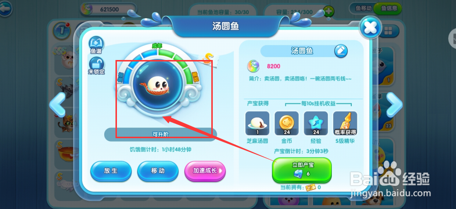 萌鱼泡泡手游如何将成年期汤圆鱼升阶到皇冠期