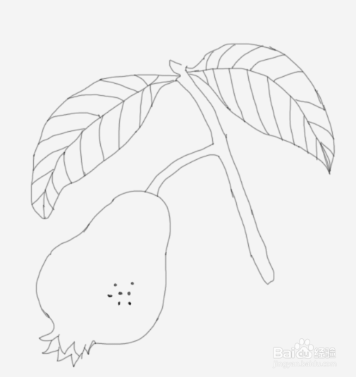 简笔画石榴是怎么画的