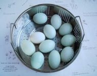 菜谱大全：[4]自制家庭咸鸭蛋